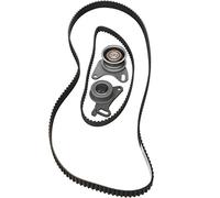 Ina 530005310 Kit Tendicinghia