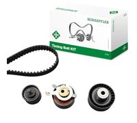 Ina 530006510 Kit Tendicinghia