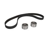 Ina 530007310 Kit Tendicinghia