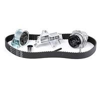 Pompa dell'acqua + kit cinghia di distribuzione INA 530 0090 30