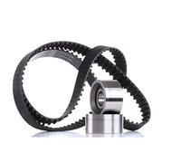 Ina 530011210 Kit Tendicinghia