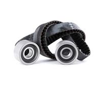 Set di cinghie di distribuzione INA 530 0113 10