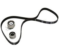 Ina 530011610 Kit Tendicinghia
