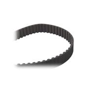 Ina 530013810 Kit Tendicinghia