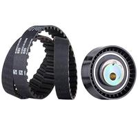 Ina 530014210 Kit Tendicinghia
