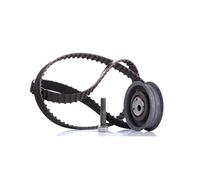 Ina 530014910 Kit Tendicinghia