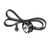 Ina 530016410 Kit Tendicinghia