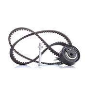 Ina 530016610 Kit Tendicinghia