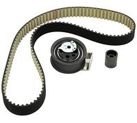 INA Kit cinghia di distribuzione 530 0176 10 per VW Audi Ford Seat