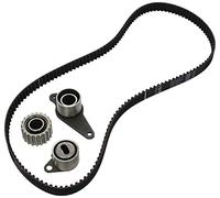 Ina 530018310 Kit Tendicinghia