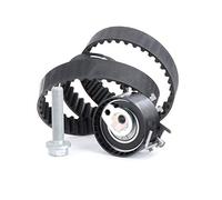 Ina 530019510 Kit Tendicinghia