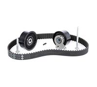 Ina 530019810 Kit Tendicinghia