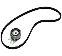 Set di cinghie di distribuzione INA 530 0221 10