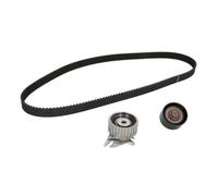 Set di cinghie di distribuzione INA 530 0223 10