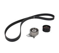 Ina 530022510 Kit Tendicinghia