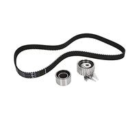 Ina 530022910 Kit Tendicinghia