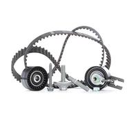 Schaeffler INA 530 0239 10 Kit cinghie dentate per CITROËN,FORD,FORD ASIA & OCEA