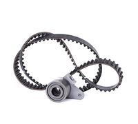 Ina 530024910 Kit Tendicinghia