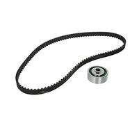 Ina 530025810 Kit Tendicinghia