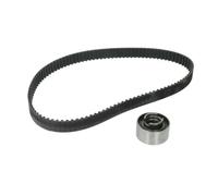 Ina 530028510 Kit Tendicinghia