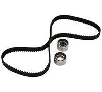 Ina 530028610 Kit Tendicinghia