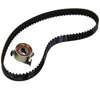 Ina 530032610 Kit Tendicinghia