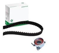 Ina 530032710 Kit Tendicinghia