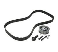 Set di cinghie di distribuzione INA 530 0343 10