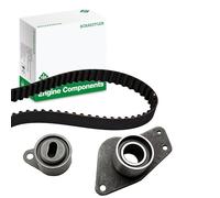 Ina 530036210 Kit Tendicinghia