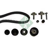 Ina 530036310 Kit Tendicinghia