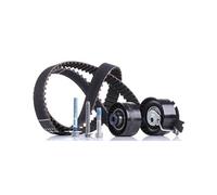 Ina 530037910 Kit Tendicinghia