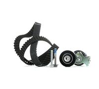 Ina 530041910 Kit Tendicinghia