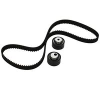 Set di cinghie di distribuzione INA 530 0446 10