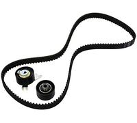 Ina 530047110 Kit Tendicinghia