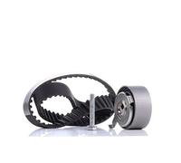 Schaeffler INA 530 0481 10 Kit cinghie dentate per AUDI,VW