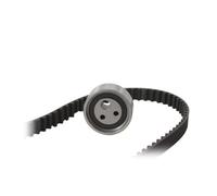 Ina 530049010 Kit Tendicinghia
