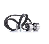 Ina 530049410 Kit Tendicinghia