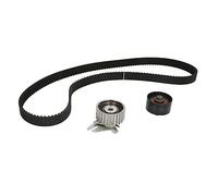 Ina 530050710 Kit Tendicinghia