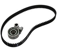 Ina 530051210 Kit Tendicinghia