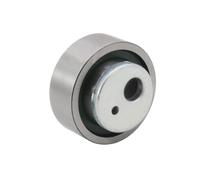 Rullo Tenditore Cinghia Dentata Ina 531 0030 10 per Citroën Peugeot