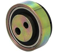 INA 531 0307 10 - Rullo Tenditore, Cinghia Poly-V