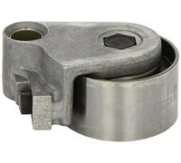 INA 531 0371 10 Rullo tenditore cinghia dentata