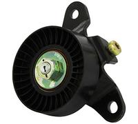 INA 531 0540 10 Rullo tenditore cinghia Poly-V Rullo tendicinghia Puleggia tendicinghia Rullo tenditore cinghia