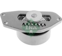 INA 531 0553 10 Rullo tenditore, Cinghia Poly-V per CITROËN