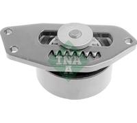 INA 531 0553 10 Rullo tenditore cinghia Poly-V Rullo tendicinghia Puleggia tendicinghia Rullo tenditore cinghia