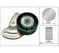 INA 531 0591 30 Puleggia Tendicinghia, Cinghia Scanalata per Mahindra Renault,
