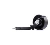 INA 531 0788 10 Rullo tenditore cinghia Poly-V Rullo tendicinghia Puleggia tendicinghia Rullo tenditore cinghia