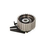 Ina 531 0844 10 Rullo Tenditore Cinghia Dentata