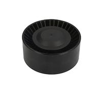 INA Puleggia tendicinghia 531 0873 10 Cinghia a V