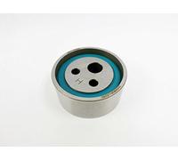 Ina 531005510 Tensionatori